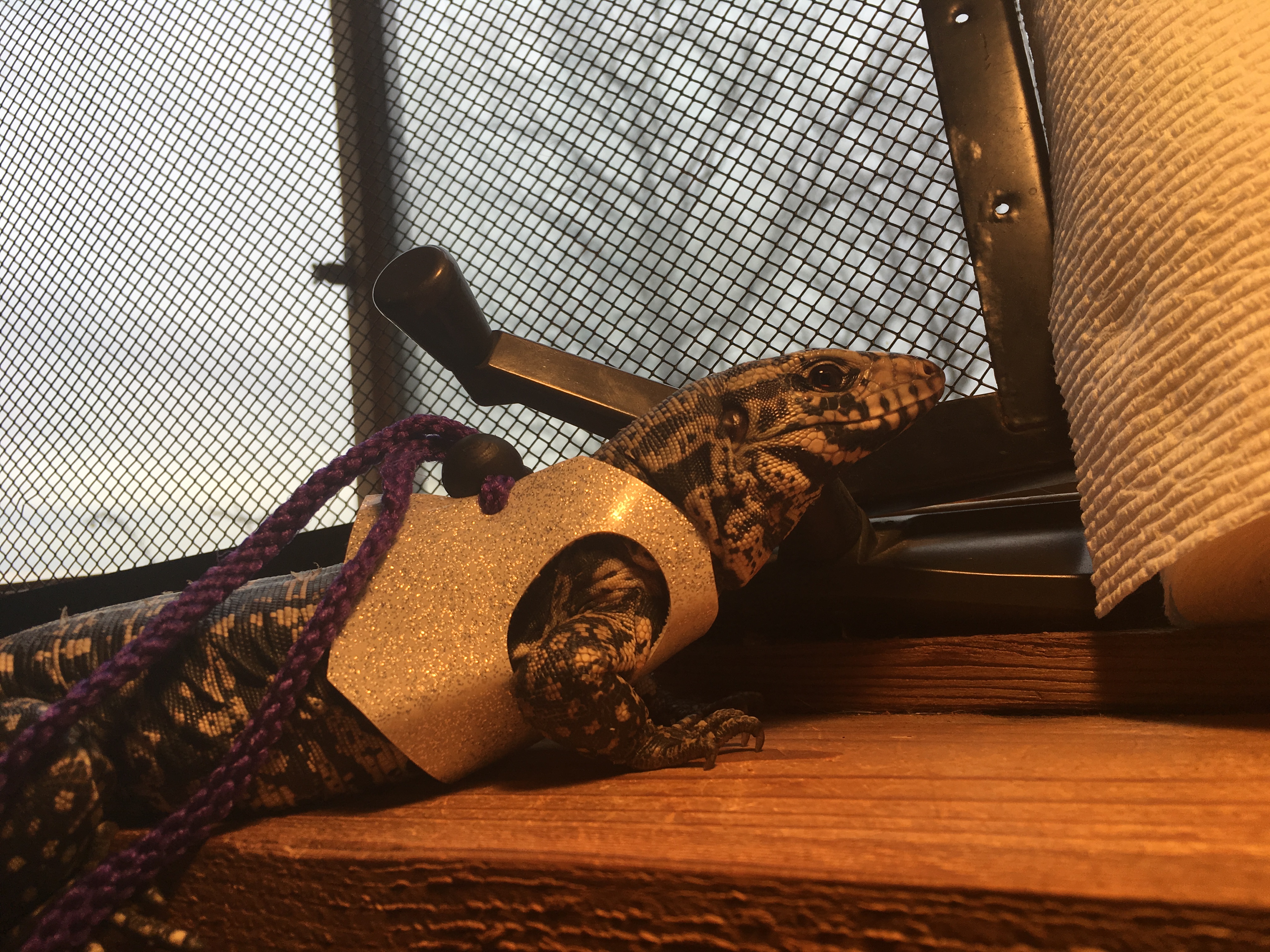 Taking advantage of the warm, but cloudy day.