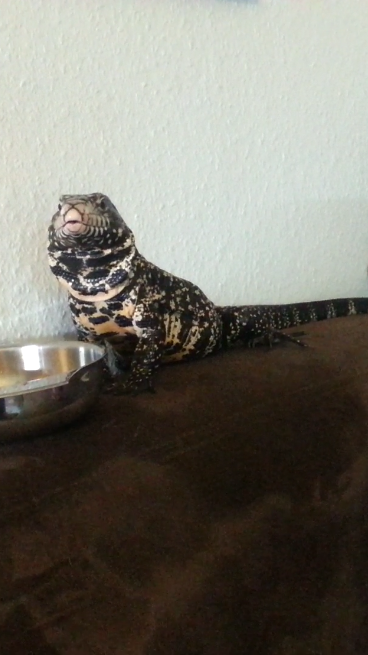 Travis enjoying his favorite fruits