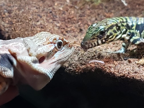 Velcro Meets Wifi(Through glass)