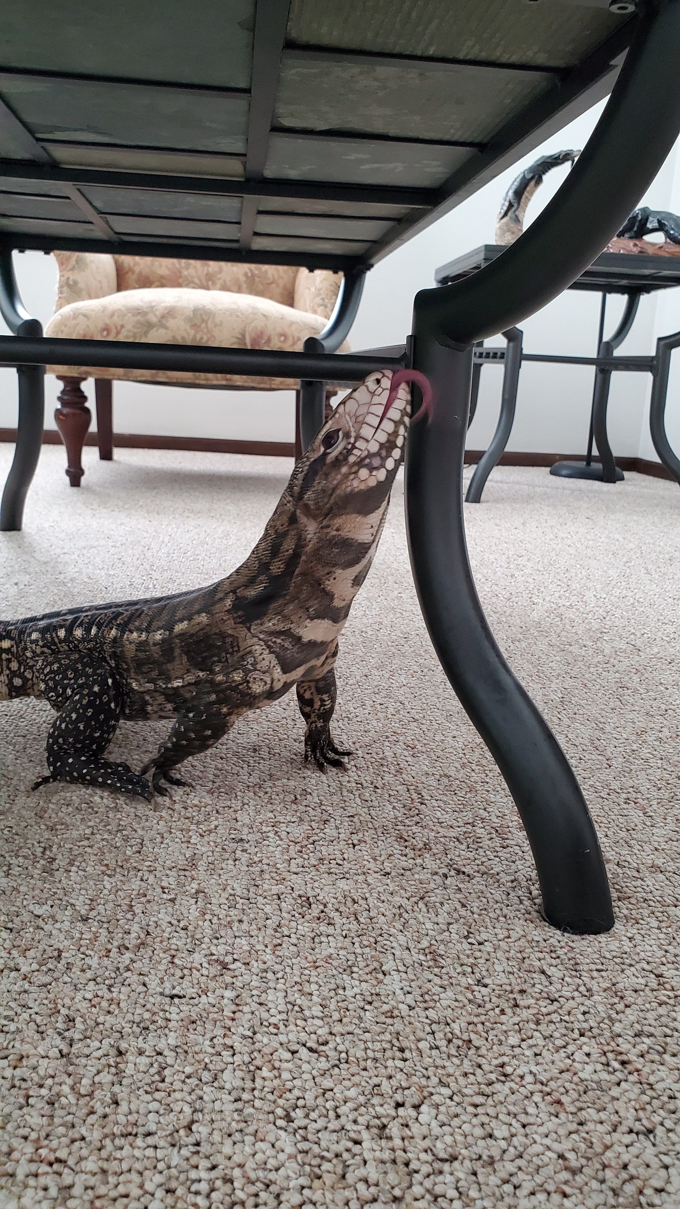 What is this new things?