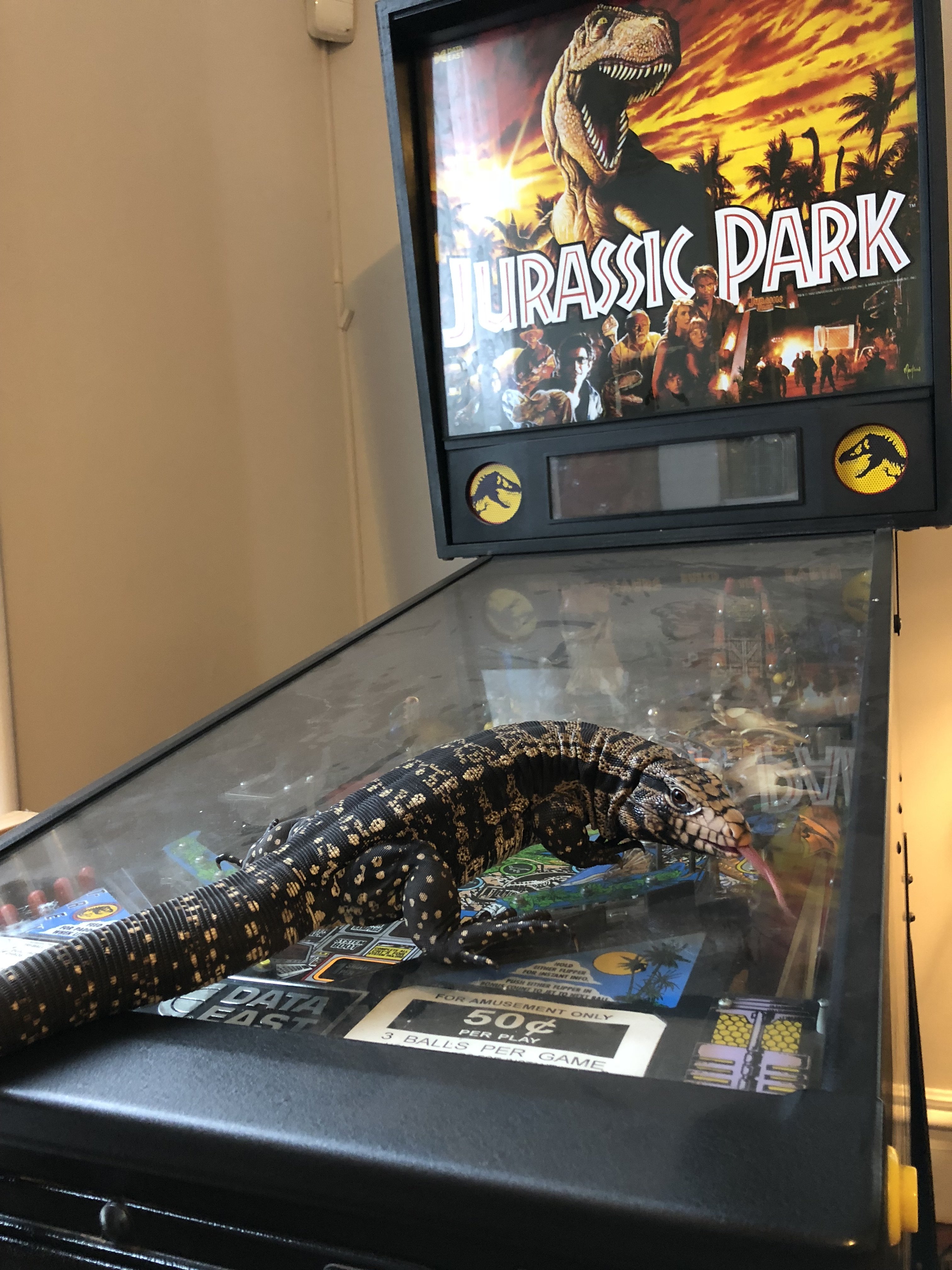 When Dinosaurs Ruled the Earth!!