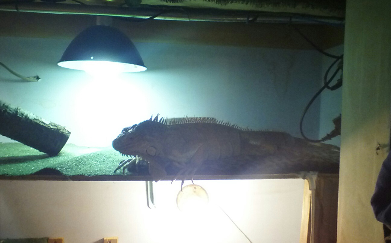 wondering what I'm doing