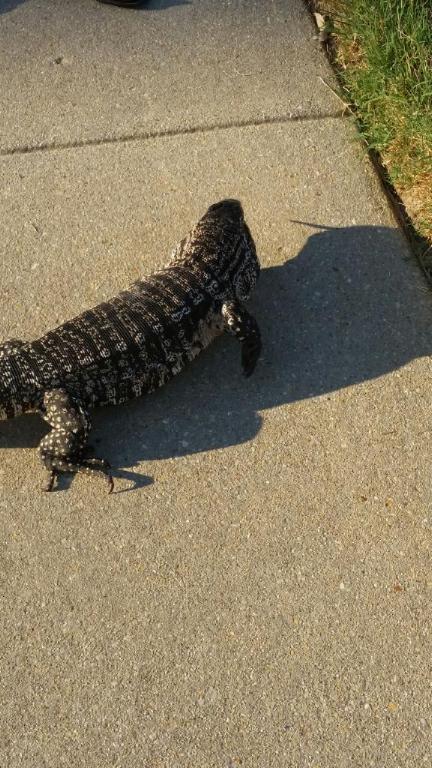 Zesus has left the building lol