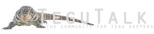 Tegu Talk
